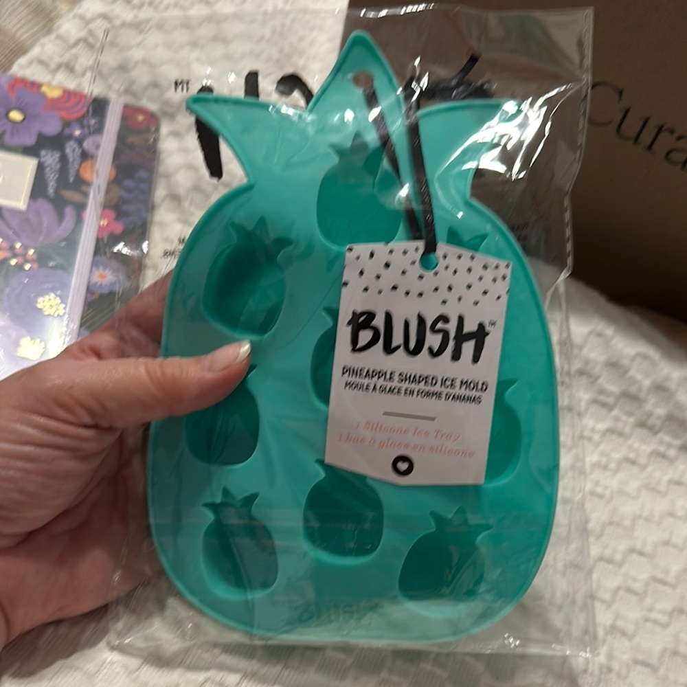 Blush Pineapple Ice Mold